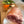 Pasture raised Free range dry cured ham - unsmoked
